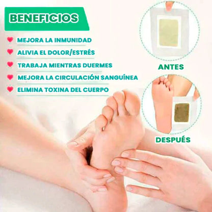 Kinoki™ Parches Detox Pack Premium X3 Para Pies - 30 Unidades